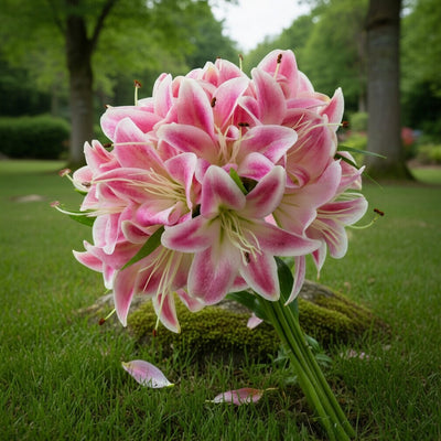 Ramo Seda Preservado