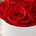 Corazón Rojo Premium 7 Rosas