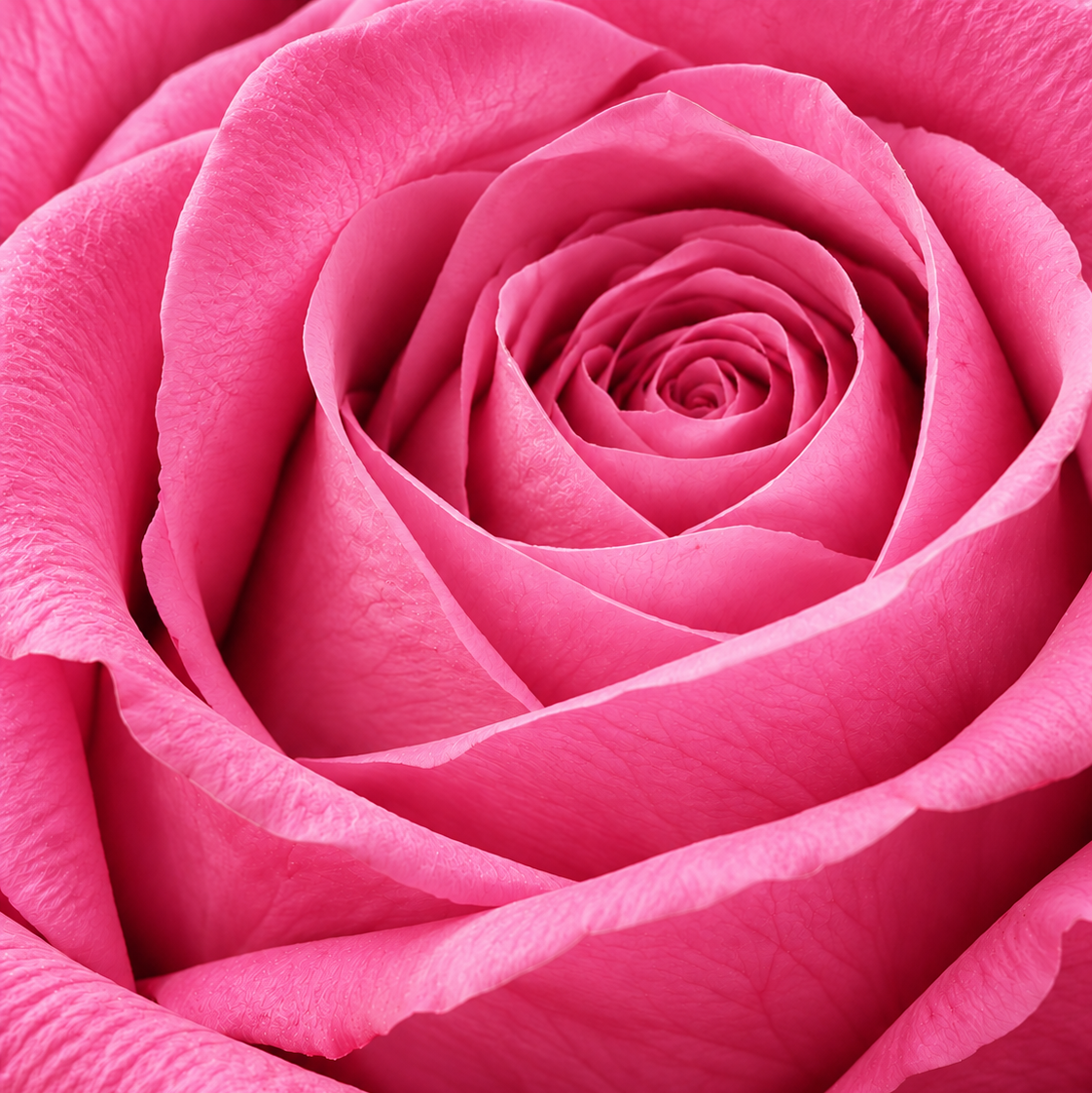 Corazon Rosa Premium  24/27 Rosas