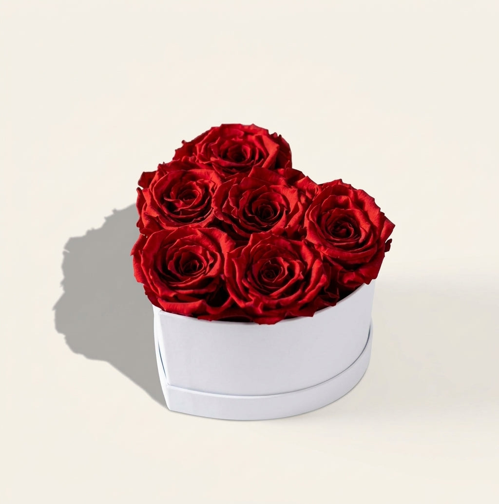 Corazón Rojo Premium 7 Rosas